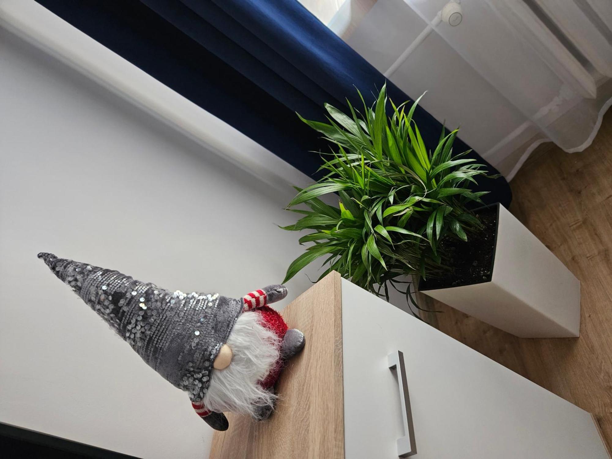 Apartamenty Koktajlove Kielce Kamer foto